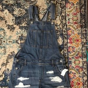 American Eagle Distressed Overalls